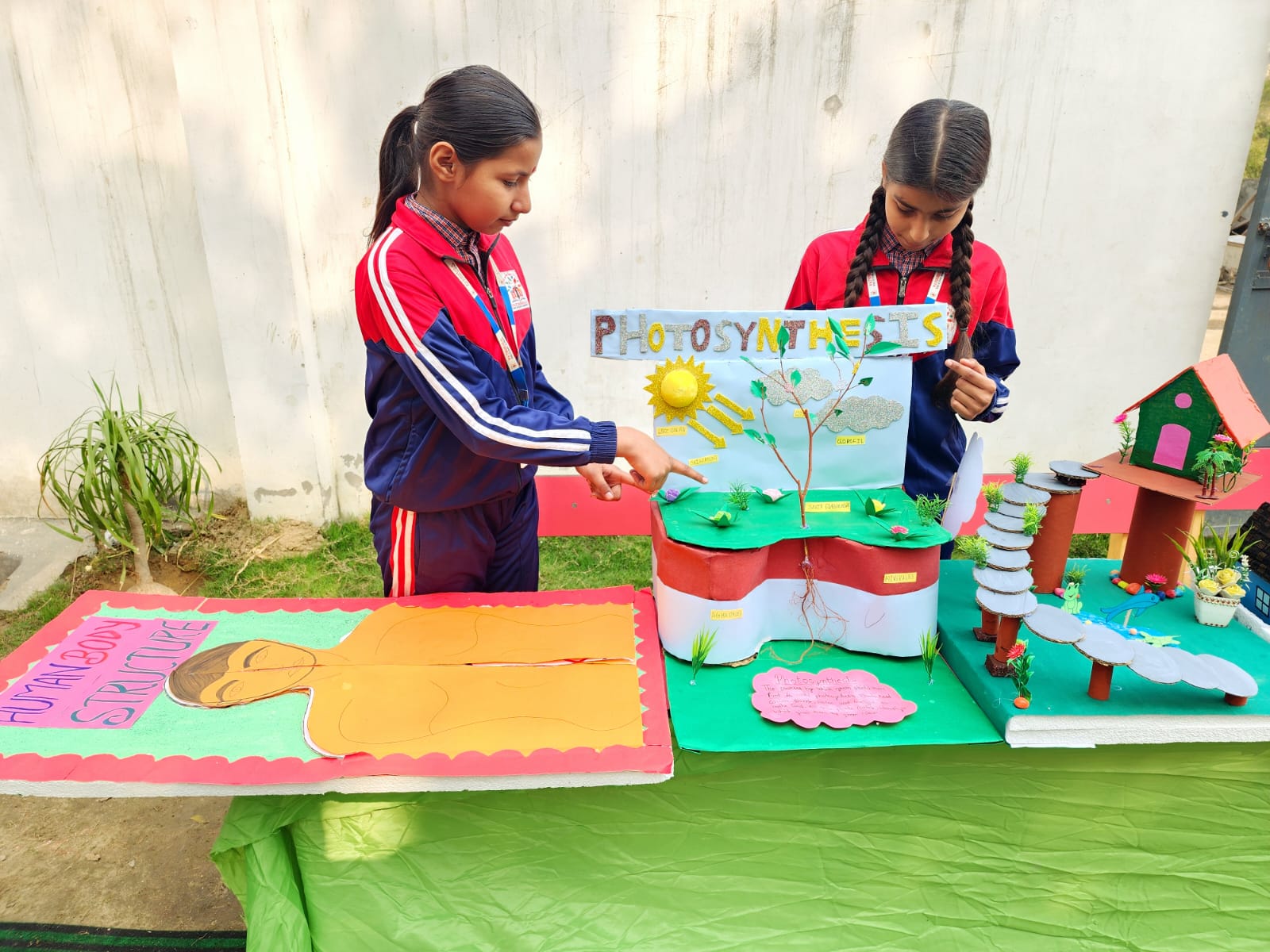 Science Project Display - PATHSHALA THE ICONIC SCHOOL